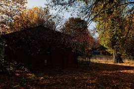 Maison Blanche Neuilly sur Marne 18